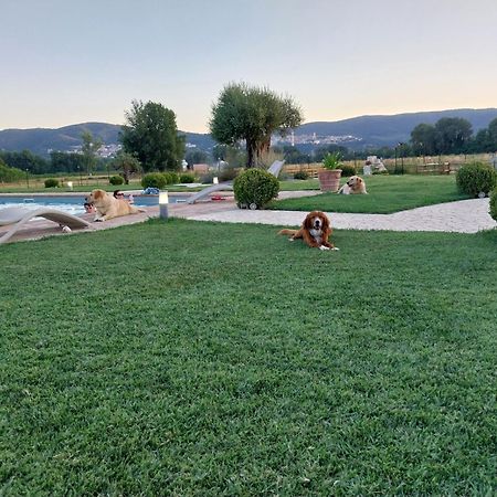 Agriturismo Tenuta Filippi Narni Exterior photo