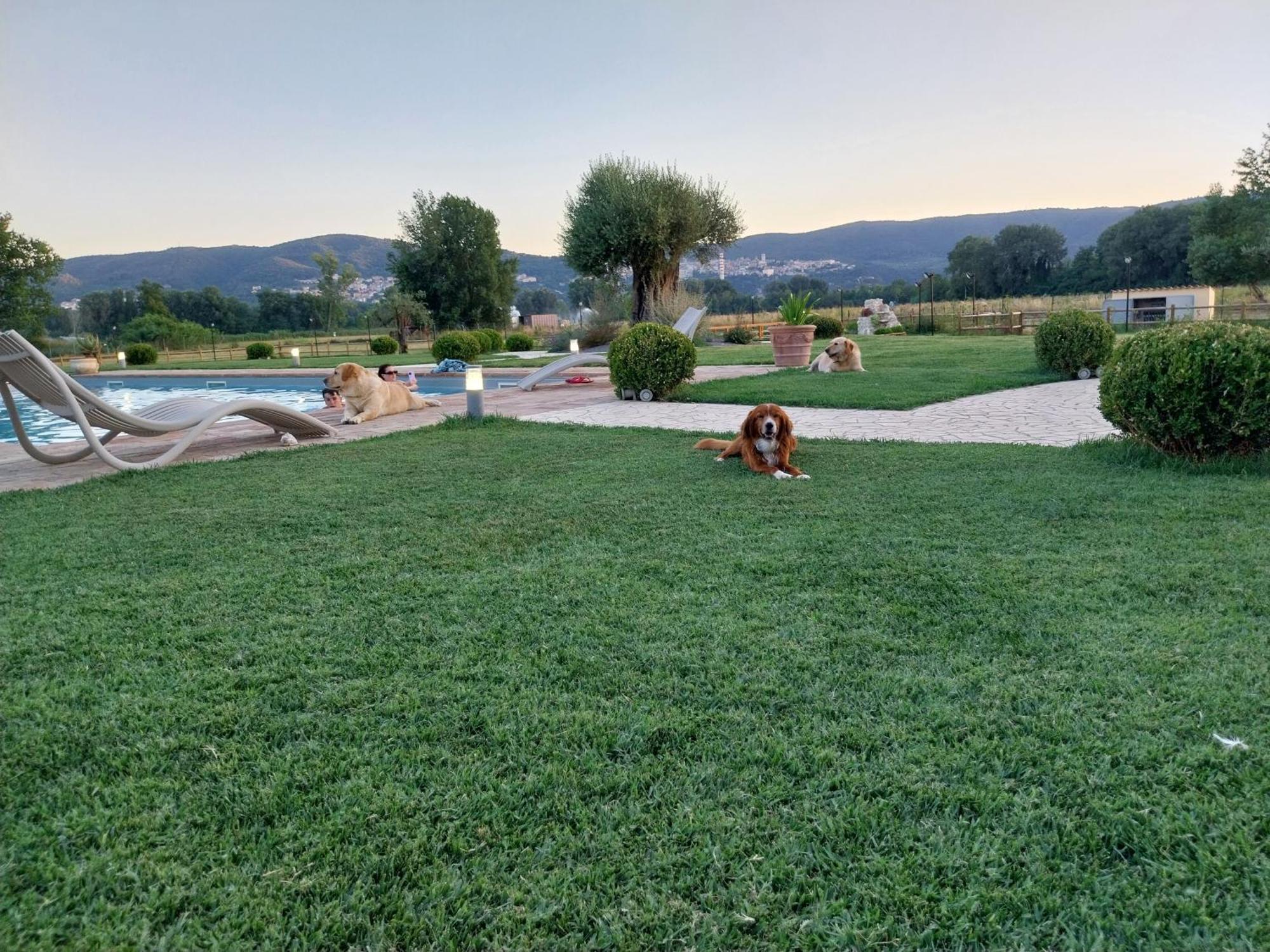 Agriturismo Tenuta Filippi Narni Exterior photo